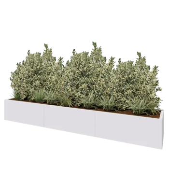 Jardinera XXL de acero - Rectángulo - 300 x 50 x 40 cm - RAL9010 mate (blanco) - Con placa inferior
