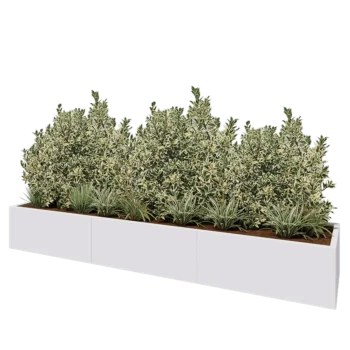 Jardinera XXL de acero - Rectángulo - 300 x 60 x 40 cm - RAL9010 mate (blanco) - Sin placa inferior
