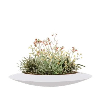 Jardinera de fibra de vidrio - Cuenco - Ø 120 x 20 cm - RAL9010 mate (blanco) - Con fondo