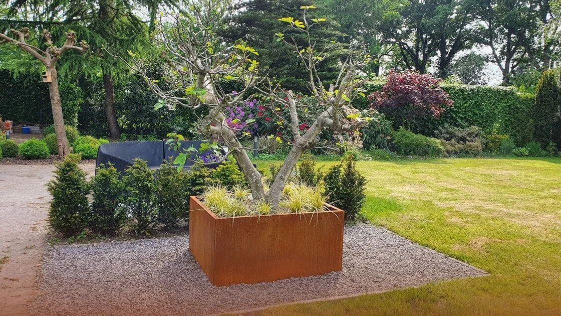 El acero corten es perjudicial para el medio ambiente: personas, medio ambiente, plantas y animales