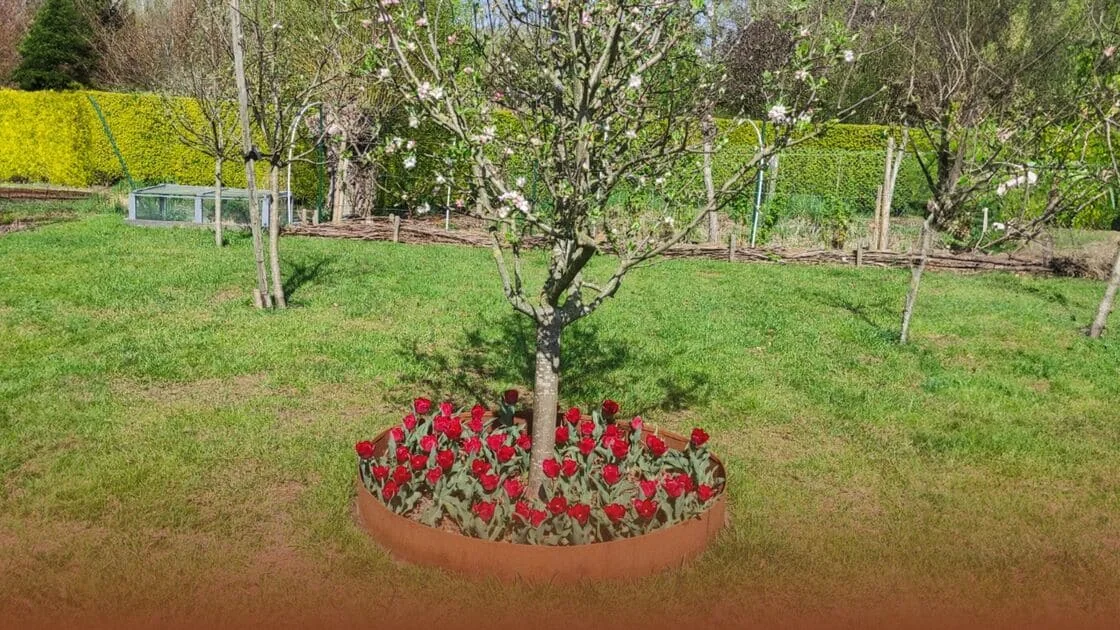 ¿Cómo hacer un borde alrededor de un árbol?