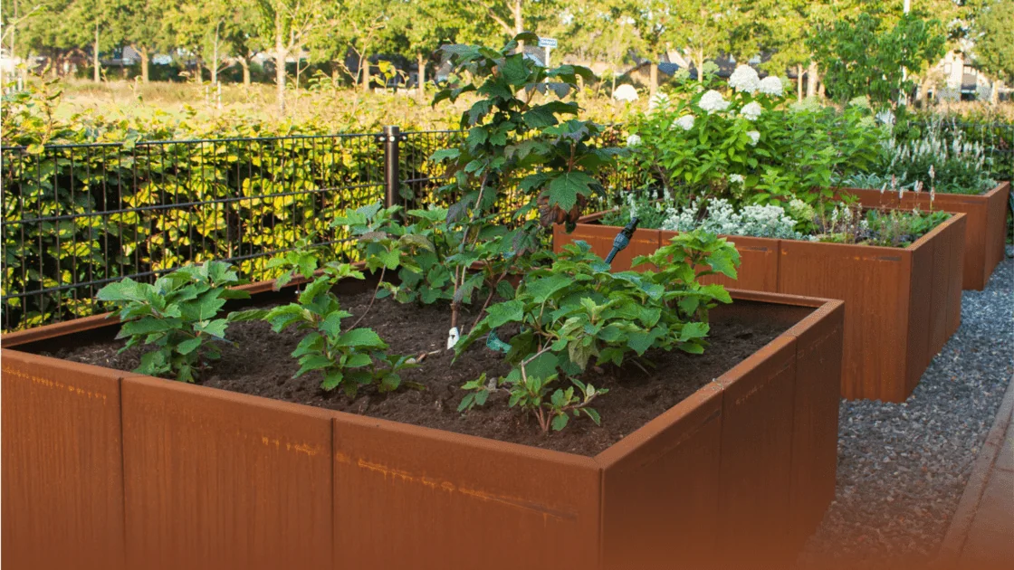 Guía del acero corten: todo lo que debe saber sobre este material