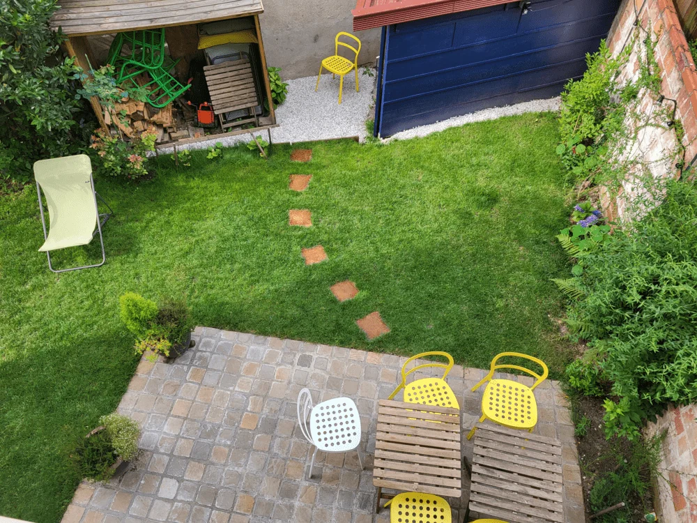 ¿Qué plantas encajan mejor alrededor de los escalones?