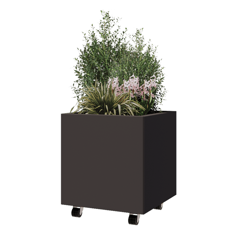 PBPCMI500x500x500RAL7016BW-with_plants_1